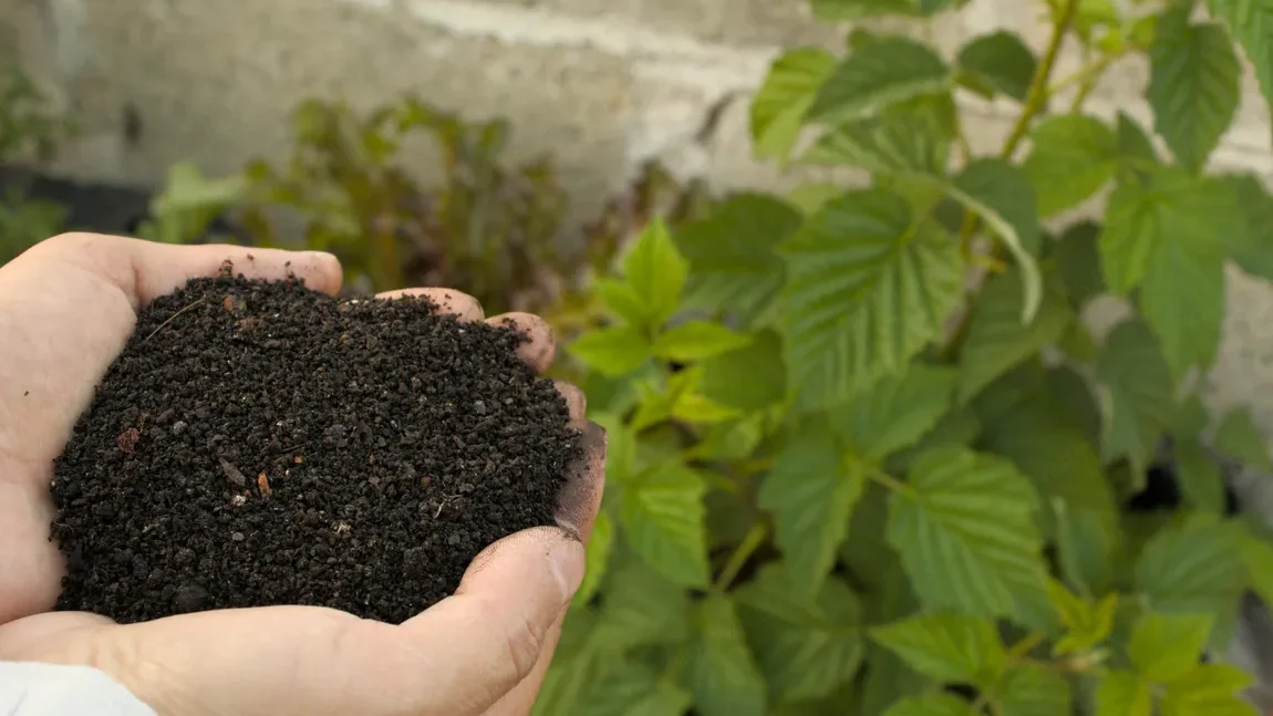 The Complete Guide to Composting with Biological Accelerators