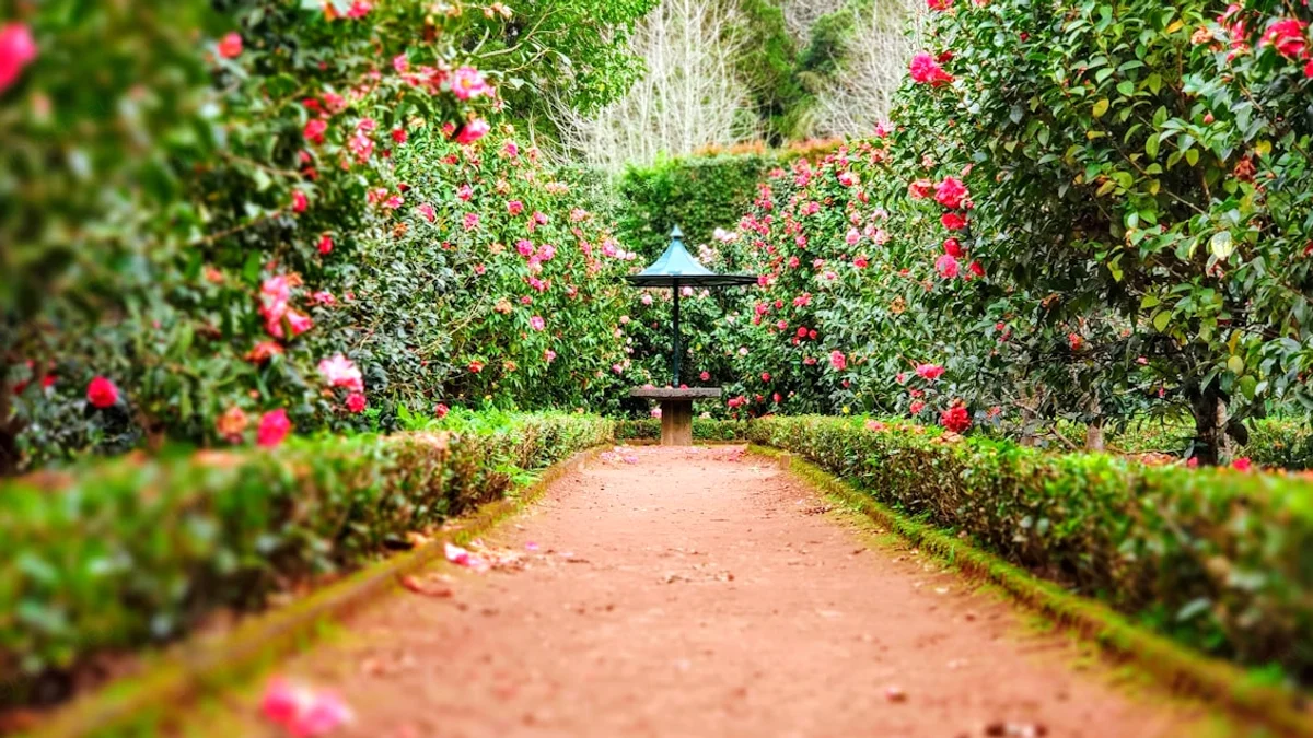 Gartenteich natürlich pflegen: 7 Tipps für klares Wasser ohne Chemie